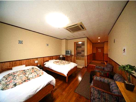 Western-style room (Handicap accessible) 