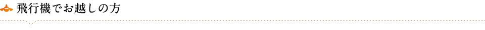 飛行機でお越しの方